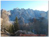 DSCN5619.jpg