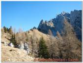 DSCN5621.jpg