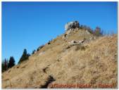 DSCN5636.jpg