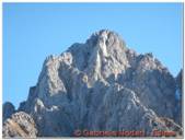 DSCN5654.jpg