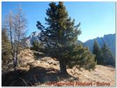 DSCN5670.jpg