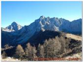 DSCN5687.jpg