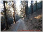 DSCN5752.jpg