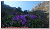 DSCN7635.jpg
