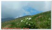 DSCN7736.jpg