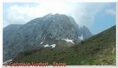 DSCN7767.jpg