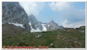 DSCN7772.jpg