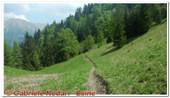 DSCN7797.jpg