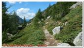 DSCN1331.jpg