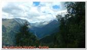 DSCN1337.jpg