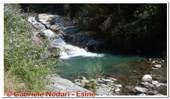 DSCN1361.jpg