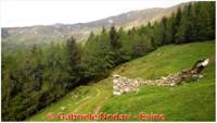 DSCN4468_small.jpg