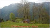 DSCN4453.jpg
