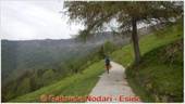 DSCN4455.jpg