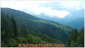 DSCN4485.jpg