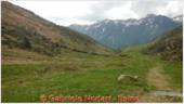 DSCN4539.jpg
