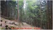 DSCN4570.jpg