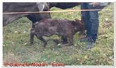DSCN8757.jpg