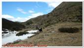 DSCN6325.jpg
