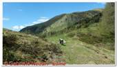 DSCN6348.jpg