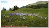DSCN6365.jpg