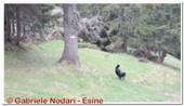 DSCN6369.jpg