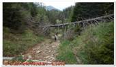 DSCN6371.jpg