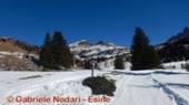 DSCN7223.jpg