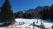 DSCN7224.jpg