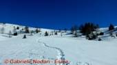 DSCN7303.jpg