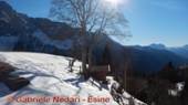 DSCN7331.jpg