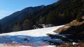 DSCN7338.jpg