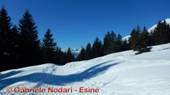 DSCN1909.jpg