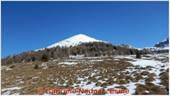 DSCN6371.jpg