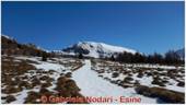 DSCN6372.jpg