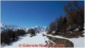 DSCN6394.jpg
