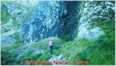 DSCN7847.jpg