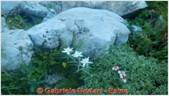 DSCN7869.jpg