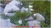 DSCN7879.jpg