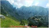 DSCN7928.jpg