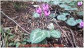 DSCN7936.jpg
