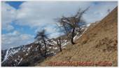 DSCN9856.jpg