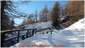 DSCN3334.jpg