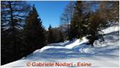 DSCN3975.jpg