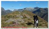 DSCN1168.jpg
