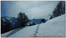 DSCN9146