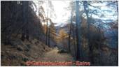 DSCN9076.jpg