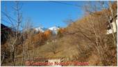 DSCN9715.jpg