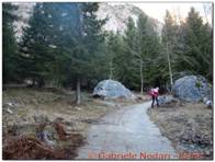 DSCN4794.jpg
