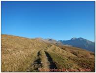 DSCN4802.jpg